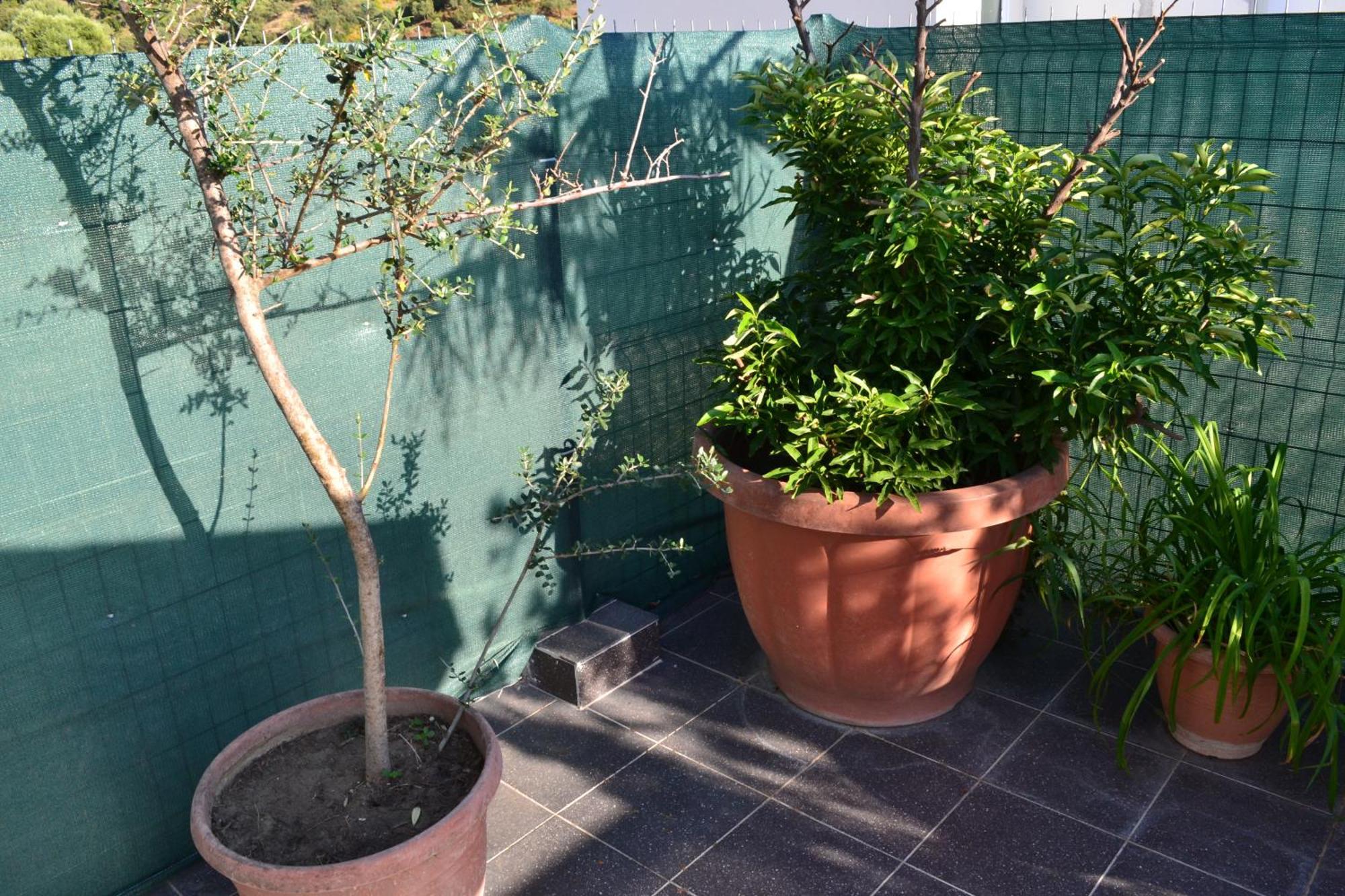 VlorëSeaview Penthouse Terrace & Garage公寓 外观 照片
